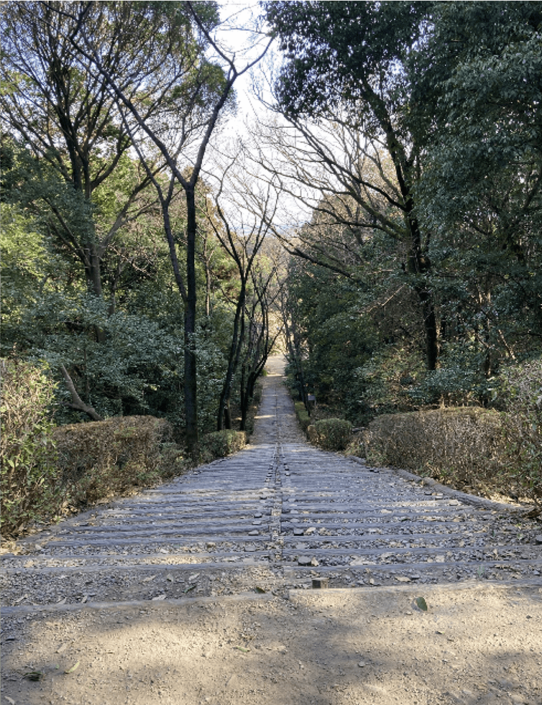 　大分市（高尾山自然公園）
